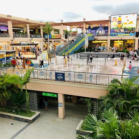 Casa La Florida - Holiday Rental アリカンテ エクステリア 写真